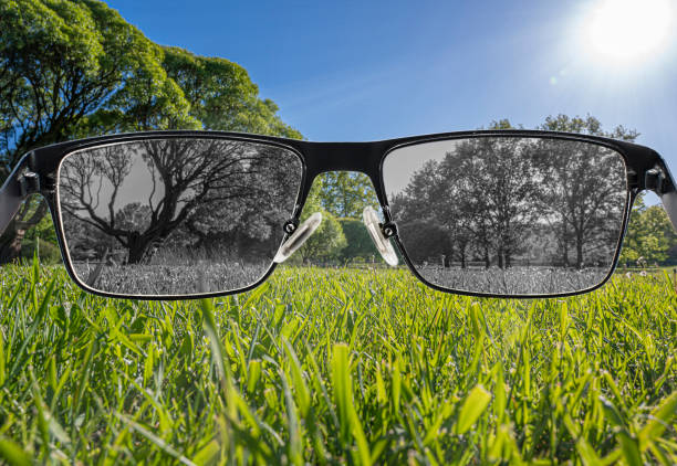 are photochrmic lenses worth it