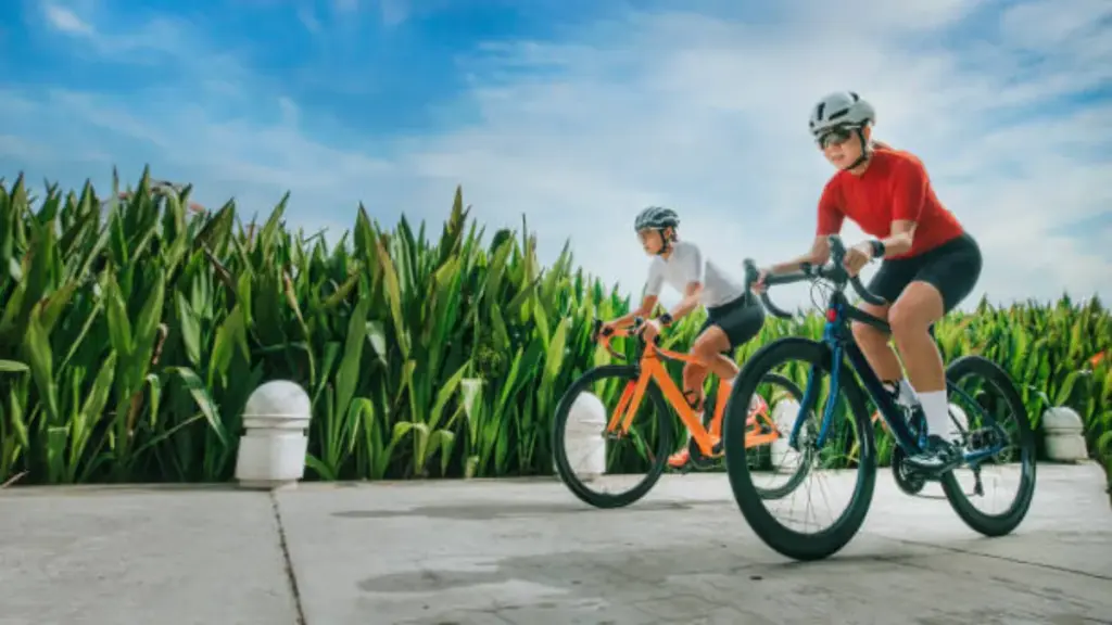 protective sunglasses for cycling